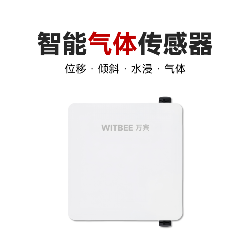智能氣體監(jiān)測儀<br>EN100-C-G